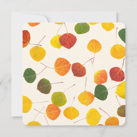 Gezinshereniging Opslaan Datum Herfst Aspen verlaa (Achterkant)