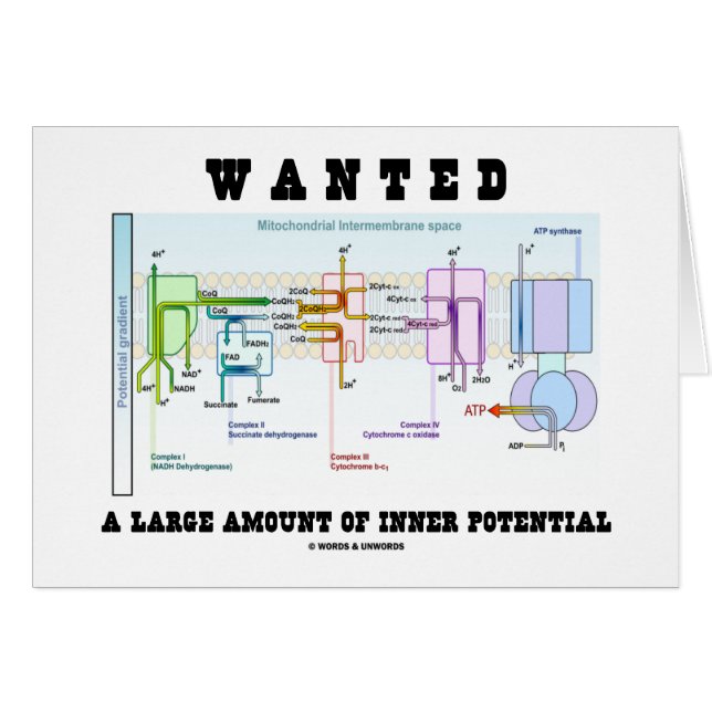 Gezocht een grote hoeveelheid intern potentieel (Voorkant Horizontaal)