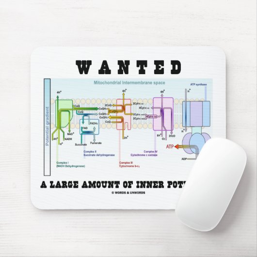 Gezocht een grote hoeveelheid intern potentieel muismat (Met muis)