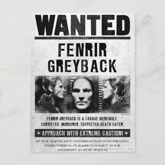 Gezocht: Fenrir Grijsrug Affiche Briefkaart (Voorkant)