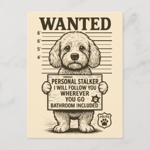 Gezocht Grappige Hond Persoonlijke Stalker Feestdagenkaart
