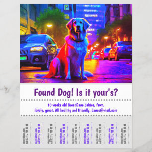 Gezocht Hond Grafisch Ontwerp Poster Flyer