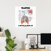Gezocht naar een ademhaling van verse lucht (ademh poster (Thuiskantoor)
