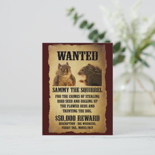 Gezocht Poster met eekhoorn Briefkaart (Staand voorkant)