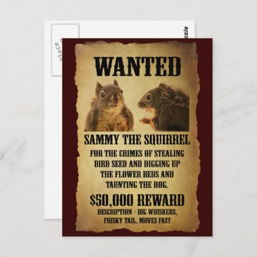 Gezocht Poster met eekhoorn Briefkaart (Voorkant / Achterkant)