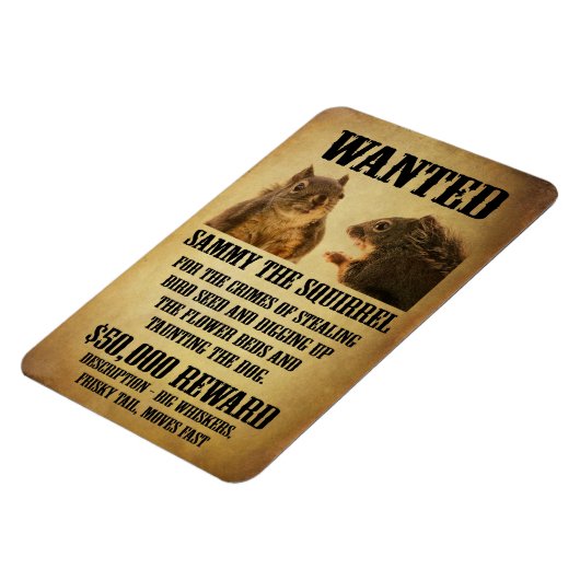 Gezocht Poster met eekhoorn Magneet (Linkerzijde)