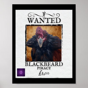 Gezochte Blackbeard Kip Grappige Piraat Poster Ont