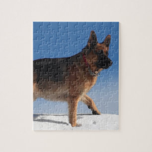 Gezonde en Happy German Shepherd Dog Legpuzzel