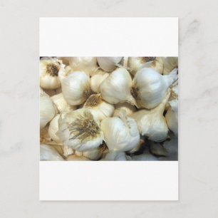 Gezonde knoflook briefkaart