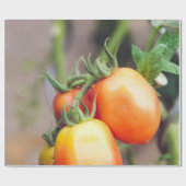 Gezonde voeding cadeaupapier (Vlak)