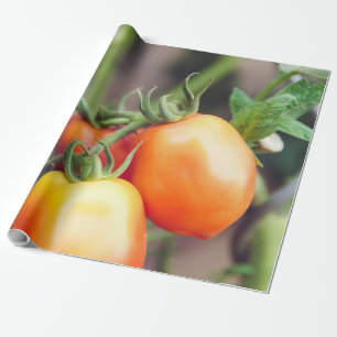 Gezonde voeding cadeaupapier