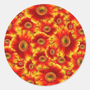 Ggloed Gerbera Daisies Ronde Sticker