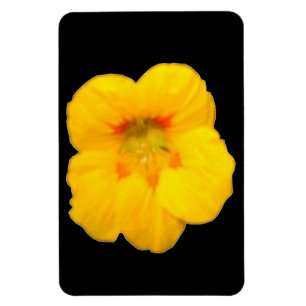Ggloeiend geel Nasturtium Premium Magnet Magneet