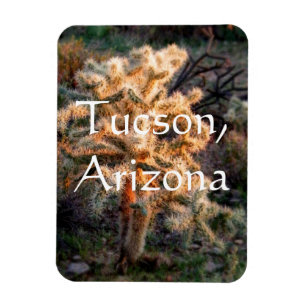 Ggloeiende cholla Tucson, Arizona Magneet