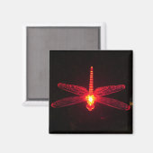 Ggloeiende Dragonfly Magneet (Voorkant / Achterkant)