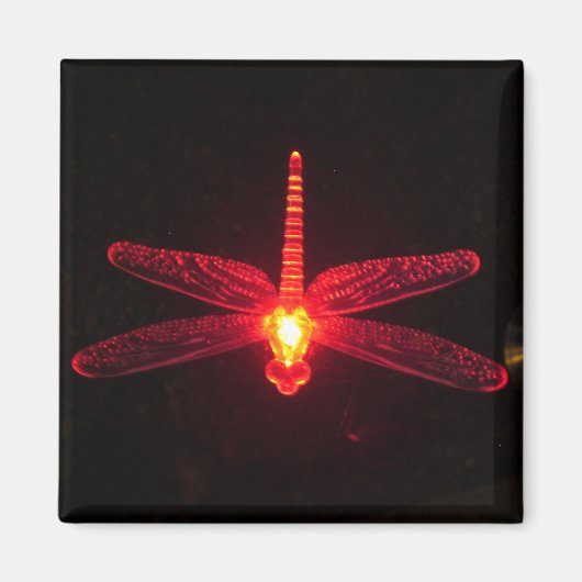 Ggloeiende Dragonfly Magneet (Voorkant)