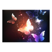 Ggloeiende nachtvlinders foto afdruk (Voorkant)