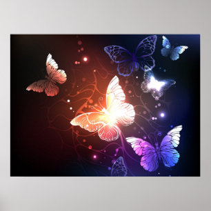 Ggloeiende nachtvlinders poster