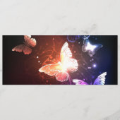 Ggloeiende nachtvlinders programma (Voorkant)