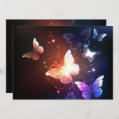 Ggloeiende nachtvlinders programma (Voorkant / Achterkant)