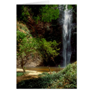 Ghana : chutes de Wli, également appelées chutes d