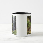 Ghana: Wli Herfsten, ook bekend als Agumatsa-Herfs Mok (Midden)