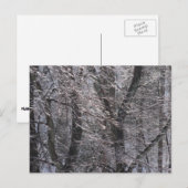 Ghear Icy Forest in Morning Light I Briefkaart (Voorkant / Achterkant)