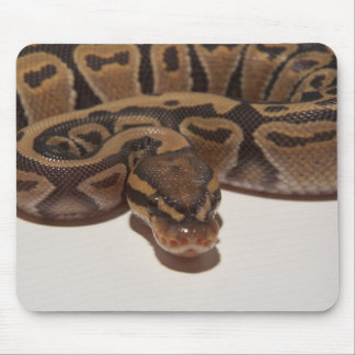 Ghost Ball Python Mousepad Muismat