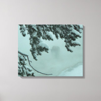 Ghost Buffalo Canvas Afdruk