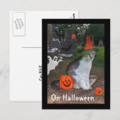 Ghost Cat Briefkaart (Voorkant / Achterkant)