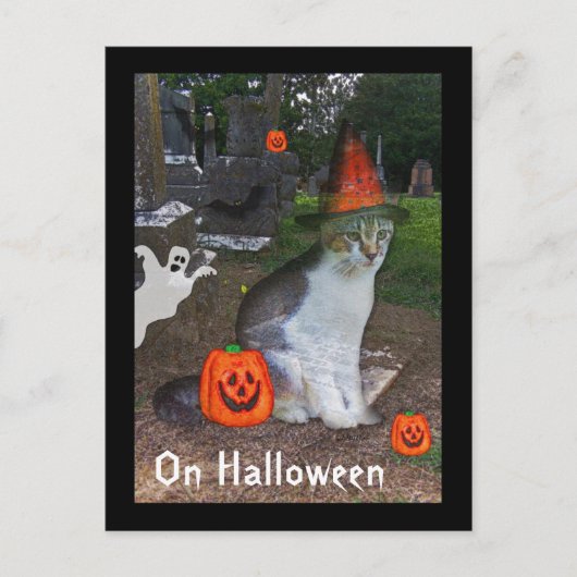 Ghost Cat Briefkaart (Voorkant)