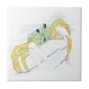 Ghost Crab op het strand Tegeltje
