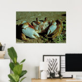 Ghost Crab Poster (Thuiskantoor)