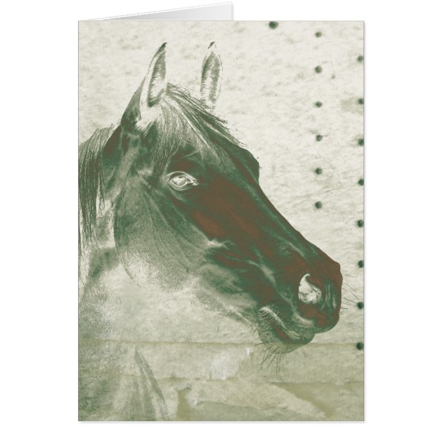 Ghost Horse (Voorkant)