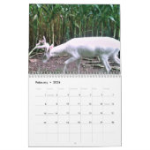 Ghost of the Bossen: The White Deer Kalender (Feb 2026)