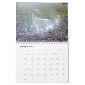 Ghost of the Bossen: The White Deer Kalender (Jan 2027)
