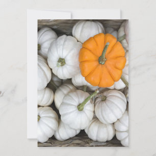 Ghost Pumpkins met een gulzige oranje Kaart