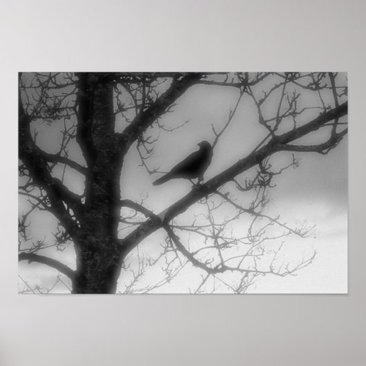 Ghost Raven Poster (Voorkant)