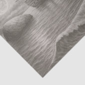 Ghost Ship – Nautical Pirate Tissuepapier (Detail)