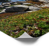 Ghost Tree - Schilderachtig 17-tapestation #2 Post Poster (Hoek)