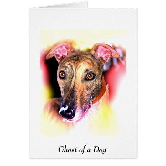 Ghost van een hond (Voorkant)