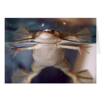 Ghost van vele Legs-kaart