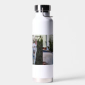 Ghost Waterfles (Links)