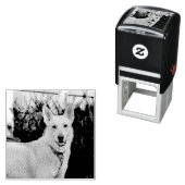 Ghost Zelfinktende Stempel (In situ)