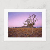 " Ghosted Shape Shifter " Briefkaart (Voorkant)