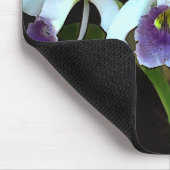 Ghovormig Cattleyas Muismat (Hoek)