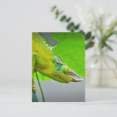 Giant 3 Horned Chameleon Briefkaart (Staand voorkant)
