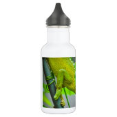 Giant 3 Horned Chameleon Waterfles (Links)