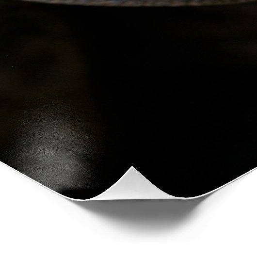 Giant Aldabra Tortoise Jigzaag Puzzle Perfect Poster (Hoek)