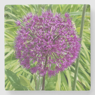 Giant Allium Flower Onderzetter